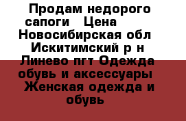 Продам недорого сапоги › Цена ­ 500 - Новосибирская обл., Искитимский р-н, Линево пгт Одежда, обувь и аксессуары » Женская одежда и обувь   